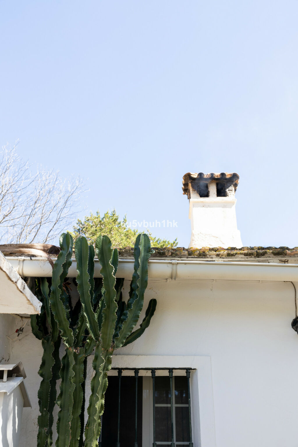 Finca - Cortijo Jimena de la Frontera Cádiz - image 30