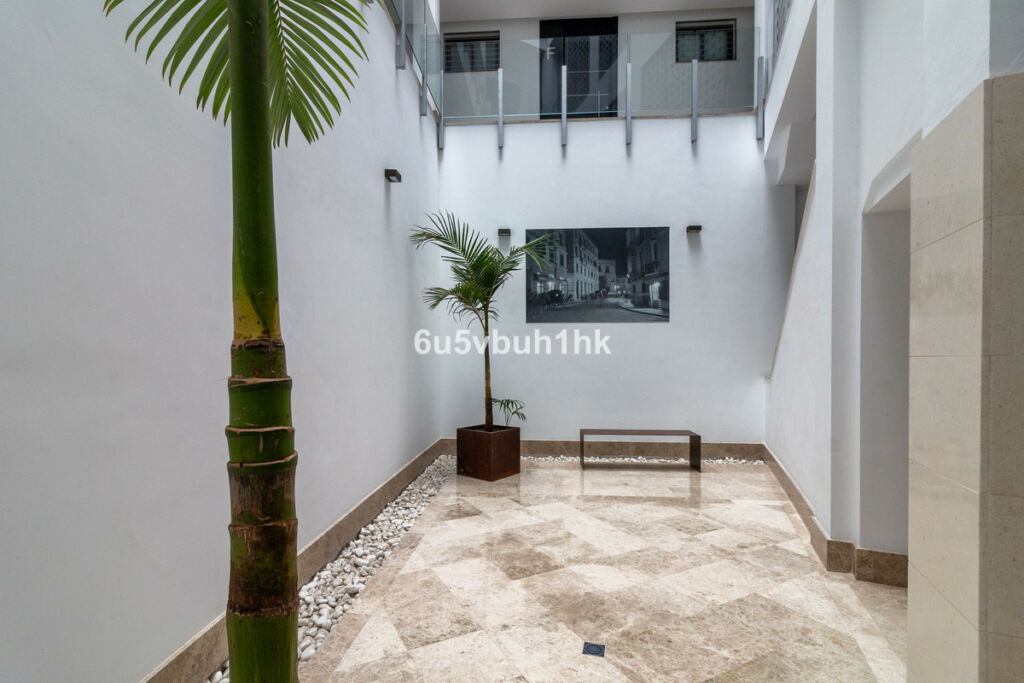 Penthouse Málaga Málaga - image 30