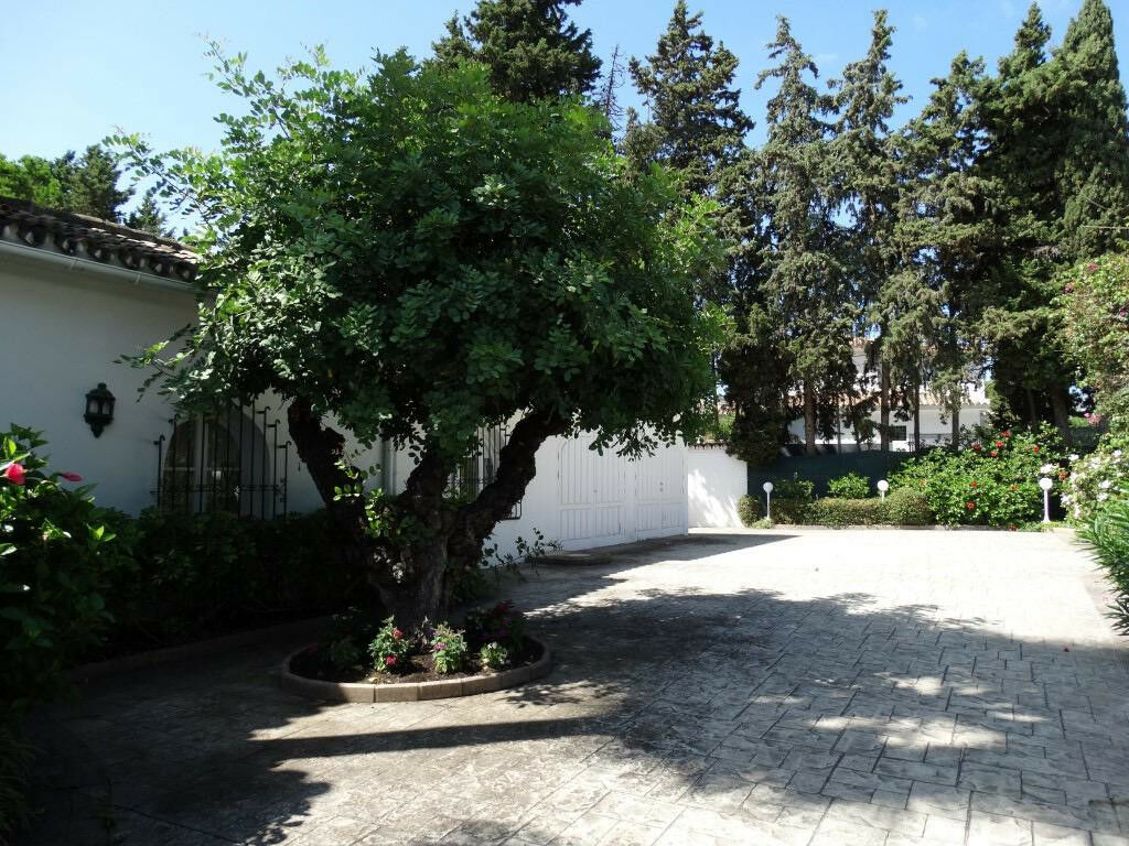 Detached Villa Sierra Blanca Málaga - image 30