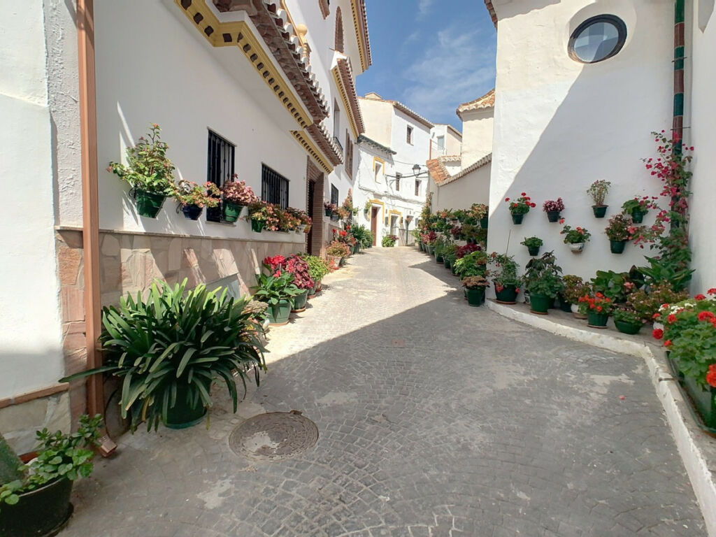 Semi-Detached House Canillas de Aceituno Málaga - image 31
