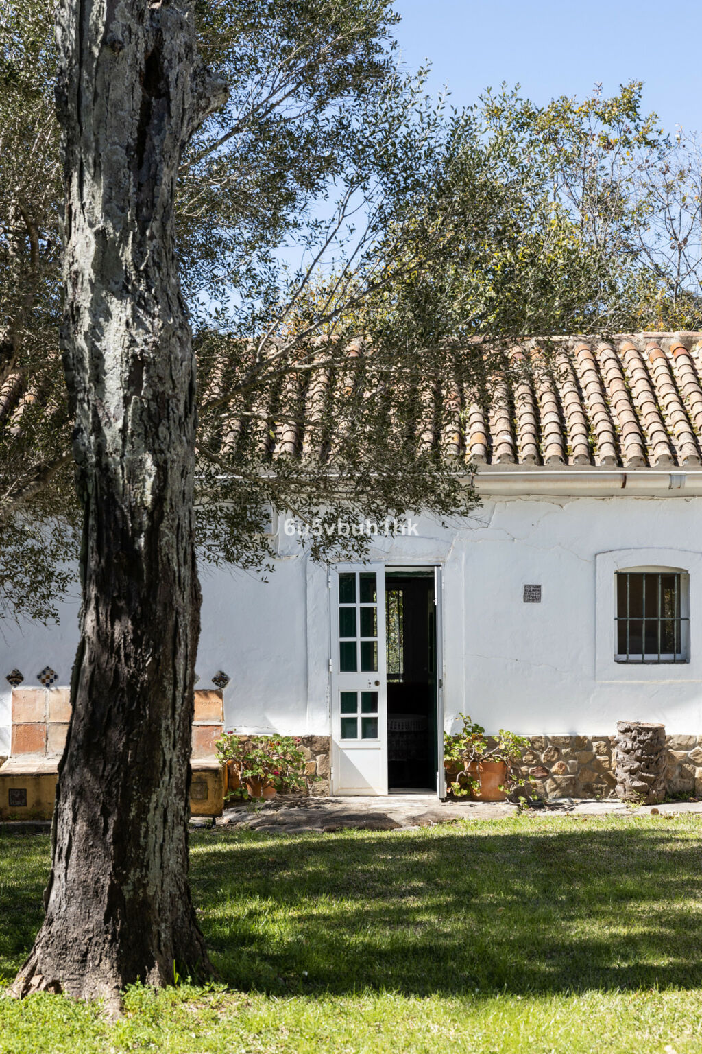 Finca - Cortijo Jimena de la Frontera Cádiz - image 31