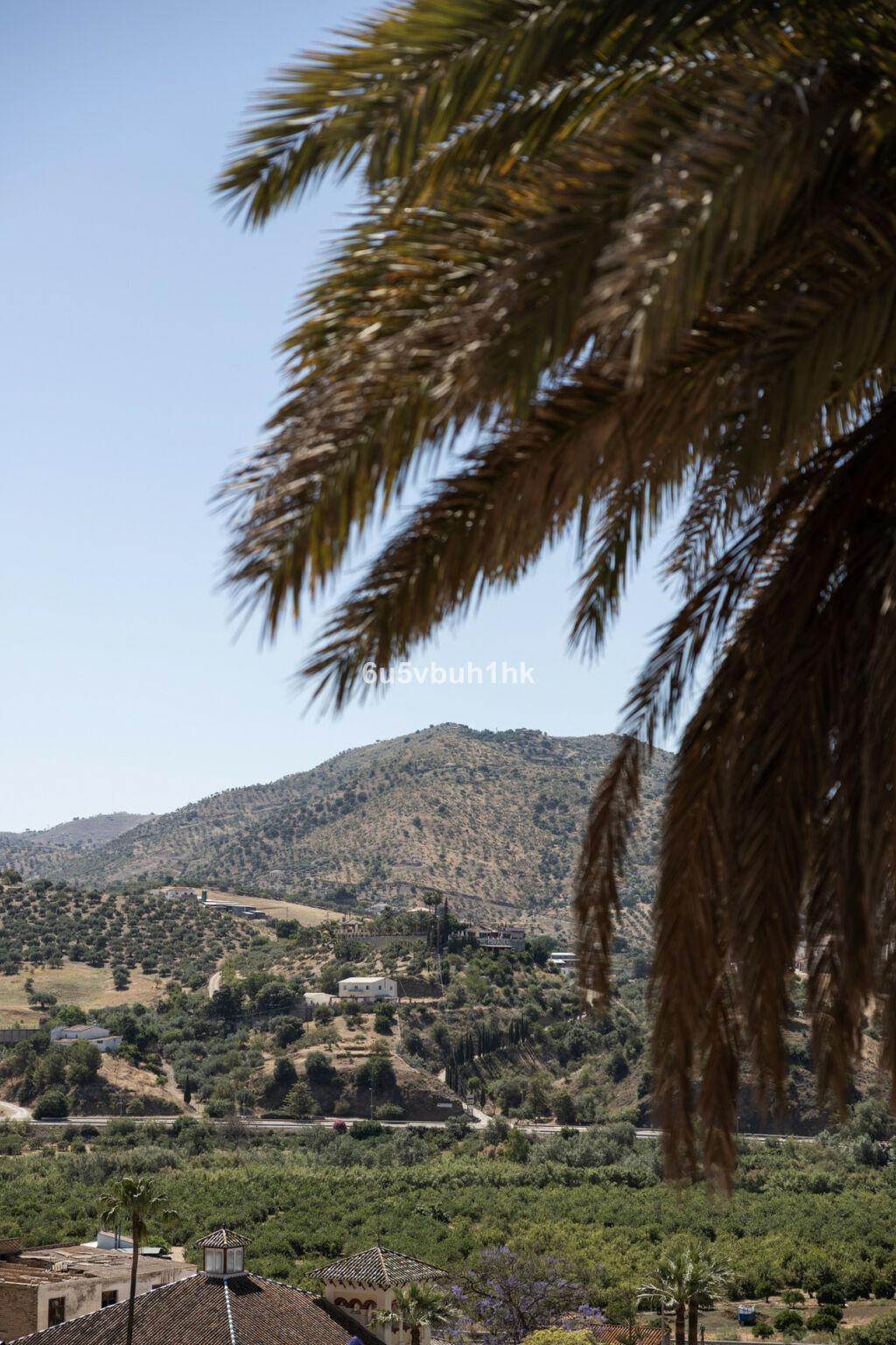 Finca - Cortijo Alora Málaga - image 31