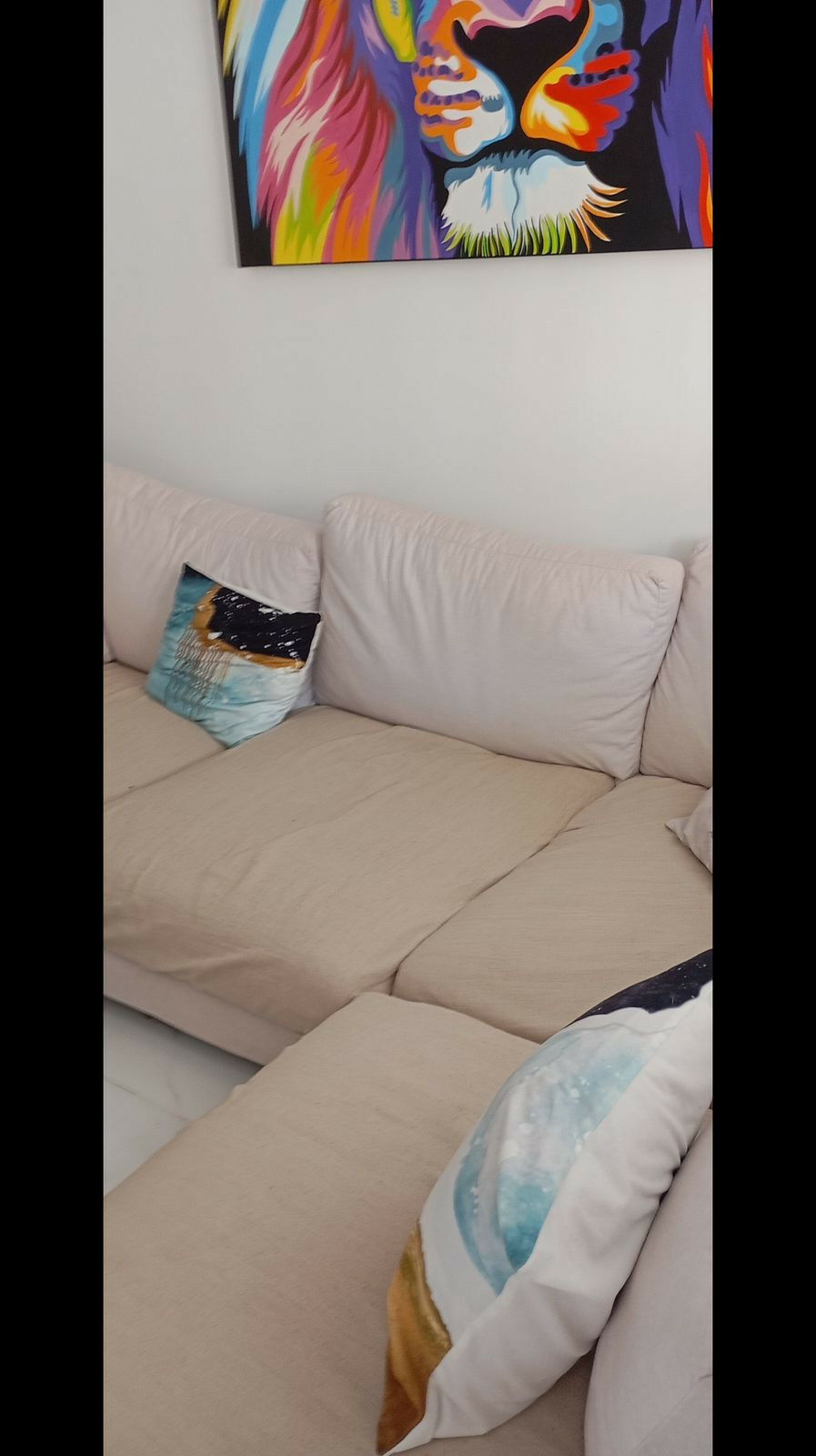 Ground Floor Apartment Torrevieja Alicante - image 30