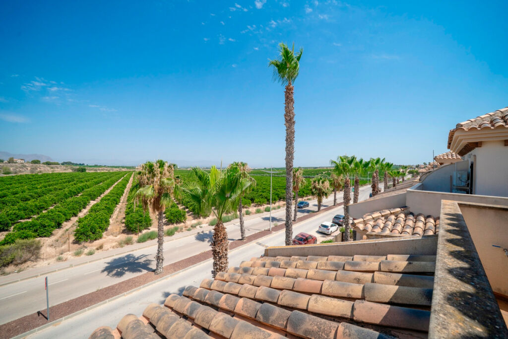 Bungalow Algorfa Alicante - image 31