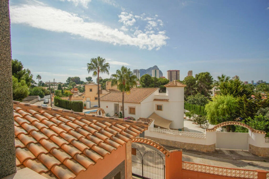 Detached Villa Los Pinos Alicante - image 31