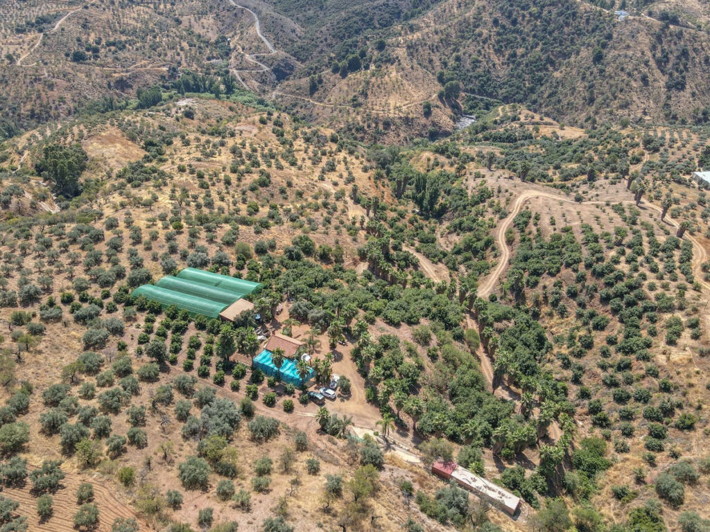 Farm Monda Málaga - image 31