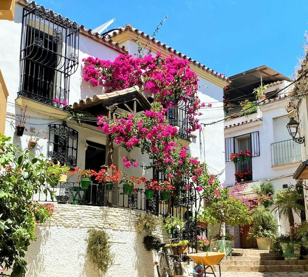 Ground Floor Apartment Estepona Málaga - image 31