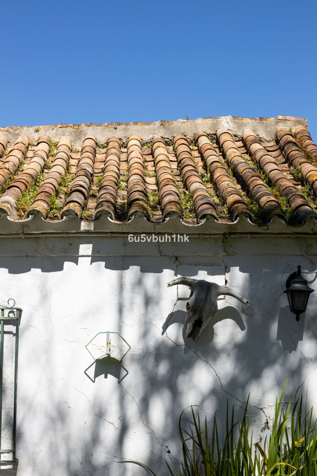 Finca - Cortijo Jimena de la Frontera Cádiz - image 32