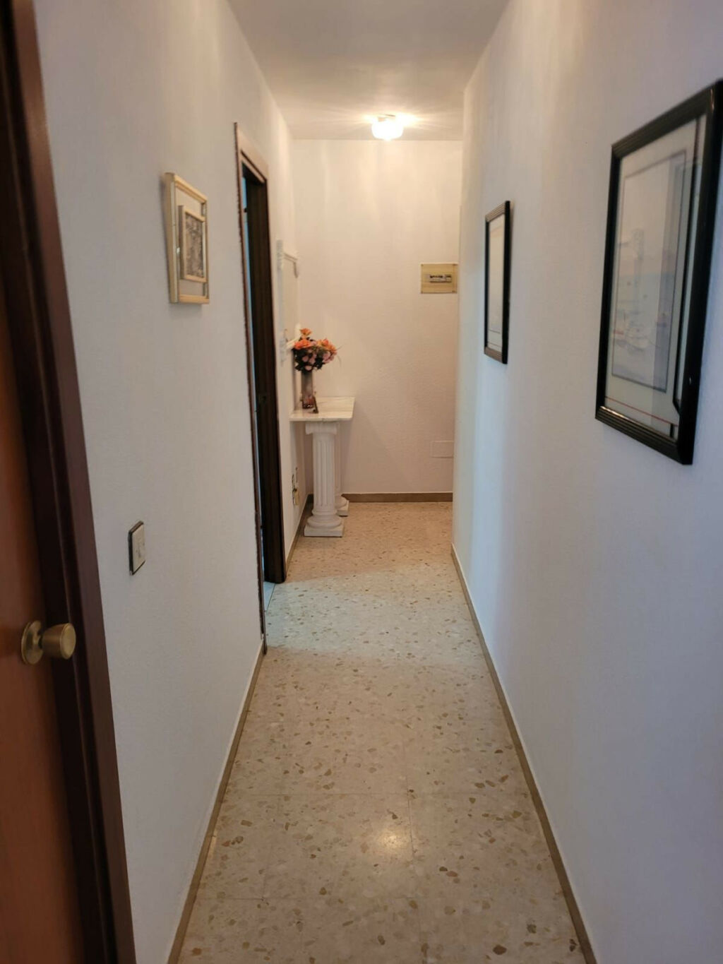 Ground Floor Apartment La Carihuela Málaga - image 32