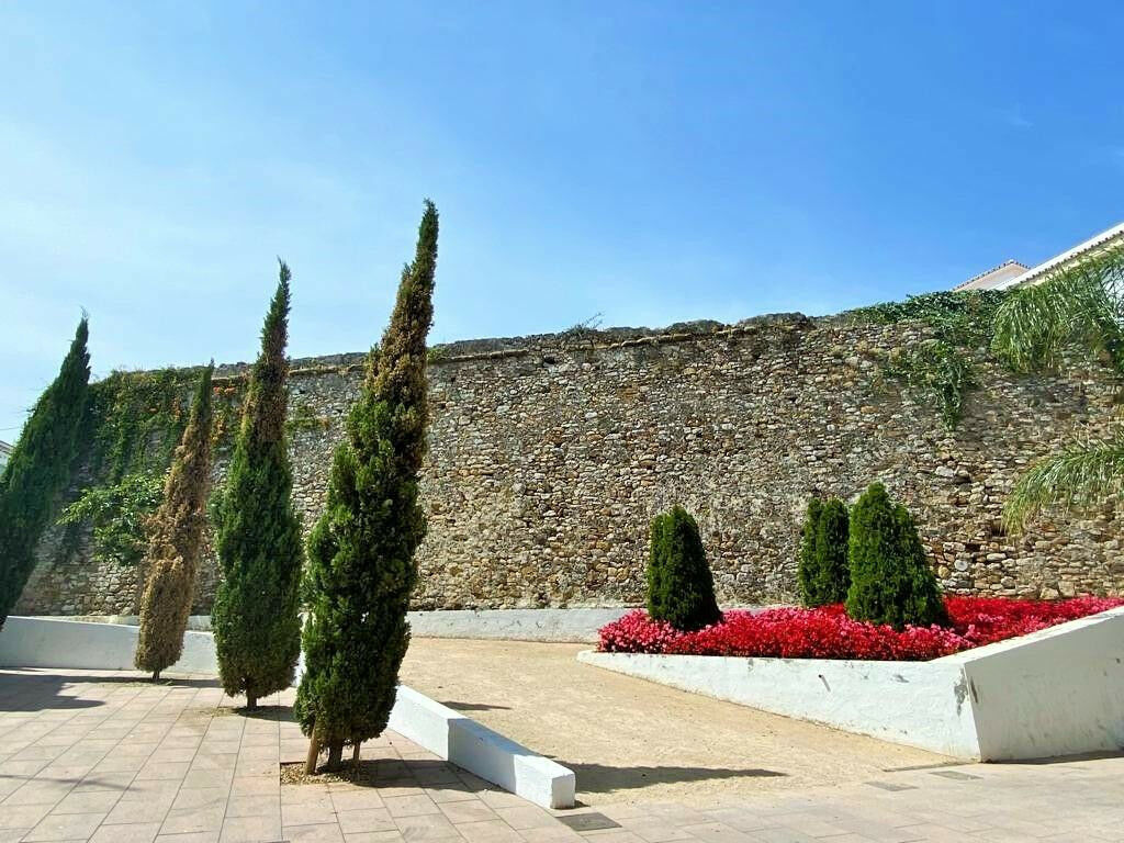 Ground Floor Apartment Estepona Málaga - image 32