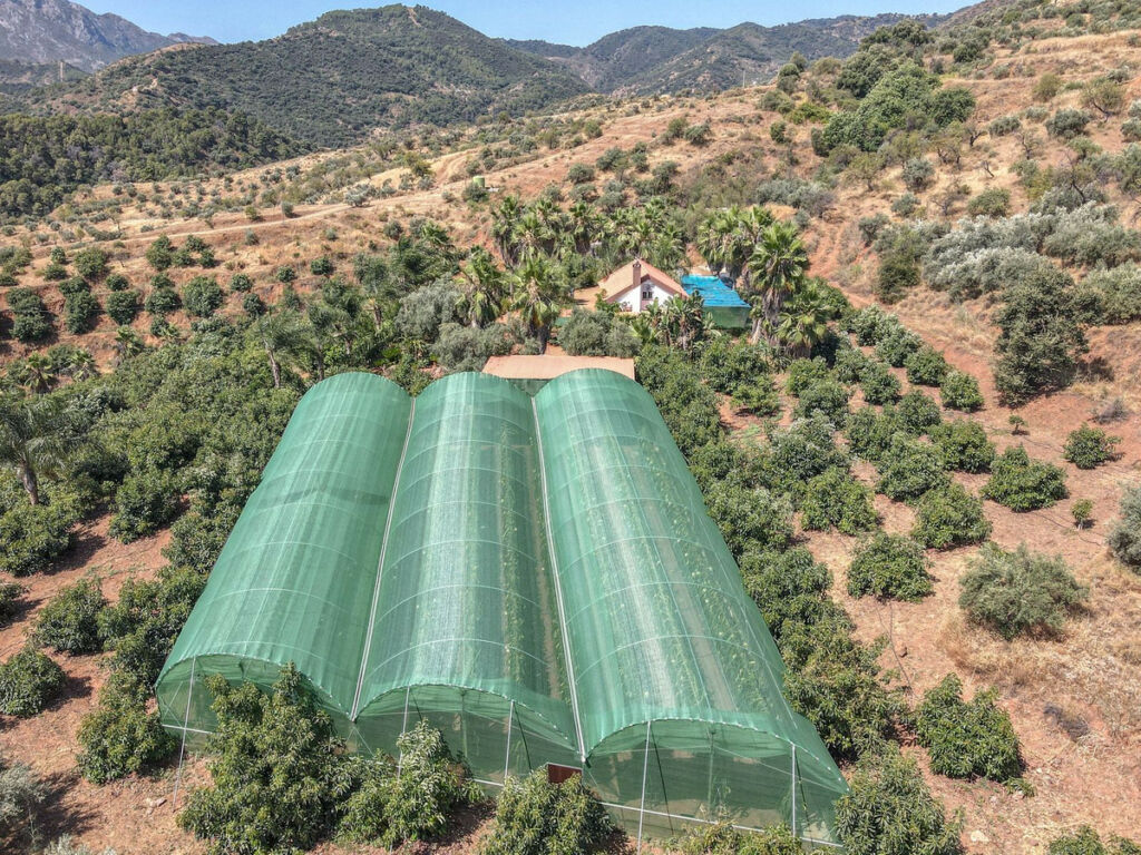 Farm Monda Málaga - image 32