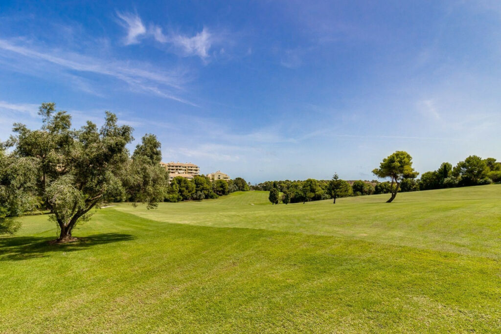 Penthouse Campoamor Alicante - image 33