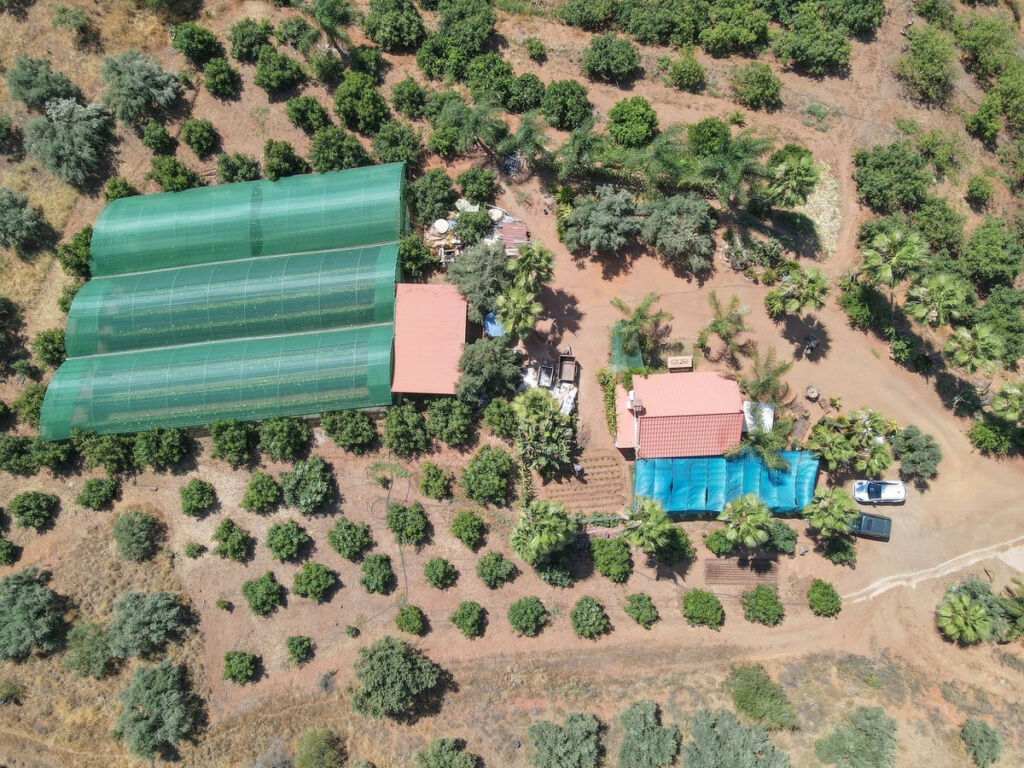 Farm Monda Málaga - image 33