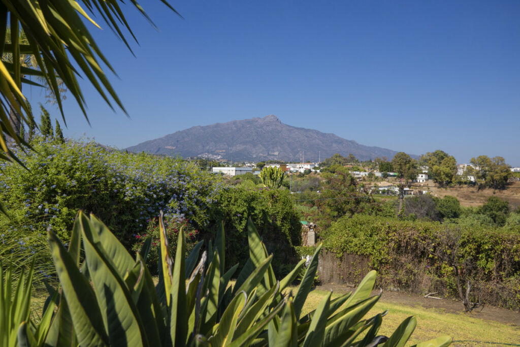 Detached Villa Valle del Sol Málaga - image 34