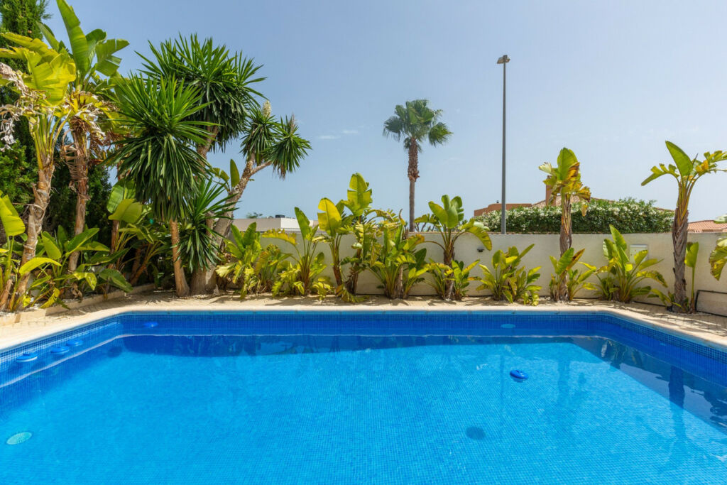 Detached Villa San Fulgencio Alicante - image 35