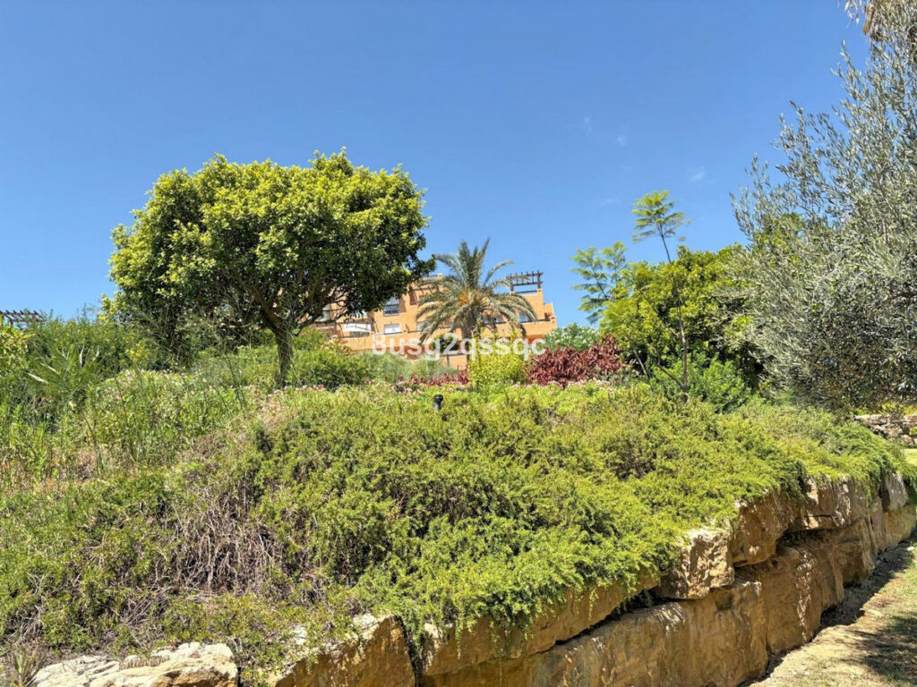 Ground Floor Apartment Casares Málaga - image 35