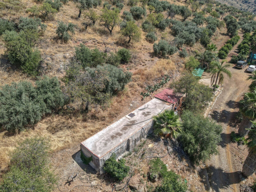 Farm Monda Málaga - image 35