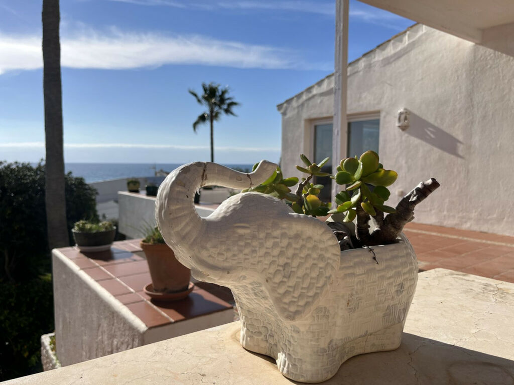 Detached Villa Estepona Málaga - image 35