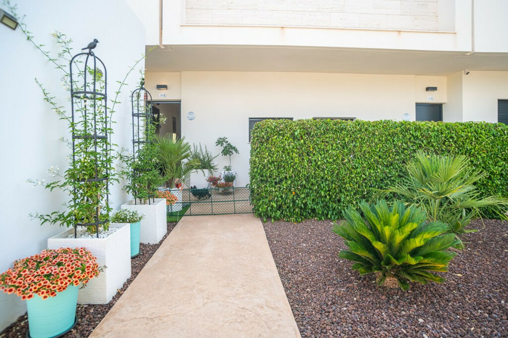 Ground Floor Apartment Pilar de la Horadada Alicante - image 35