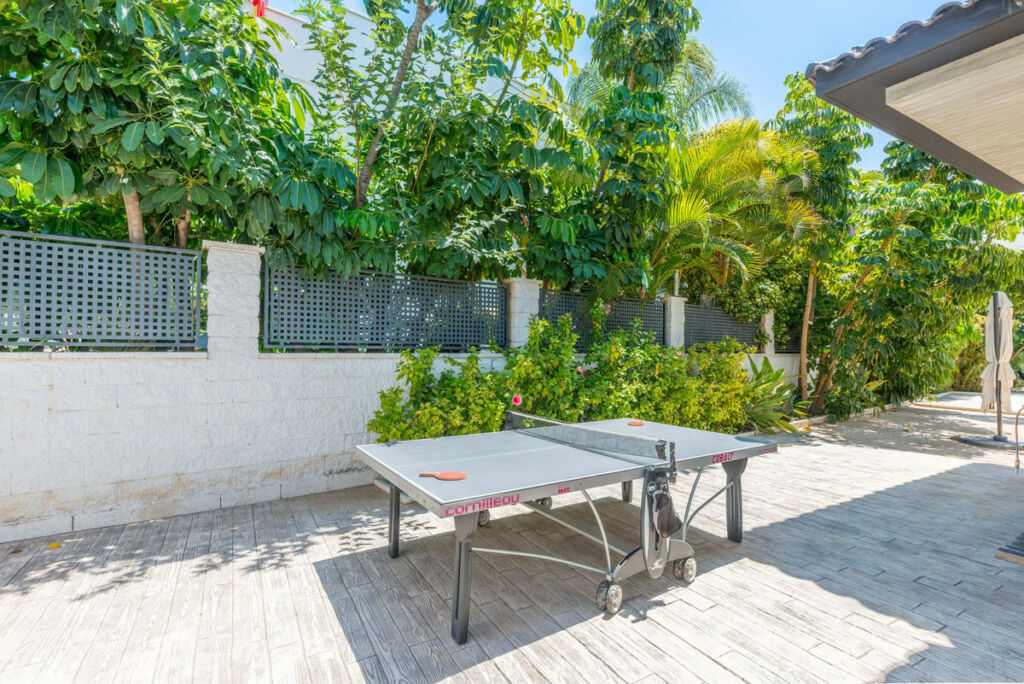 Detached Villa San Juan Alicante - image 34
