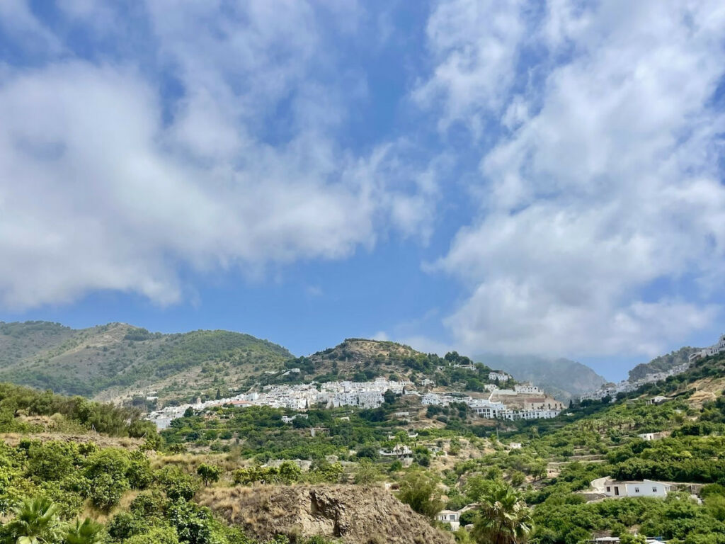 Detached Villa Frigiliana Málaga - image 37