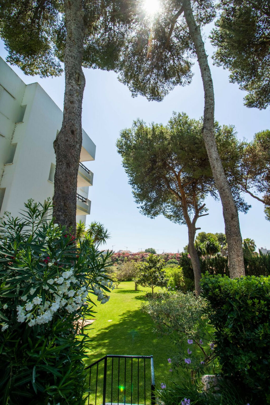 Ground Floor Apartment Los Monteros Málaga - image 40