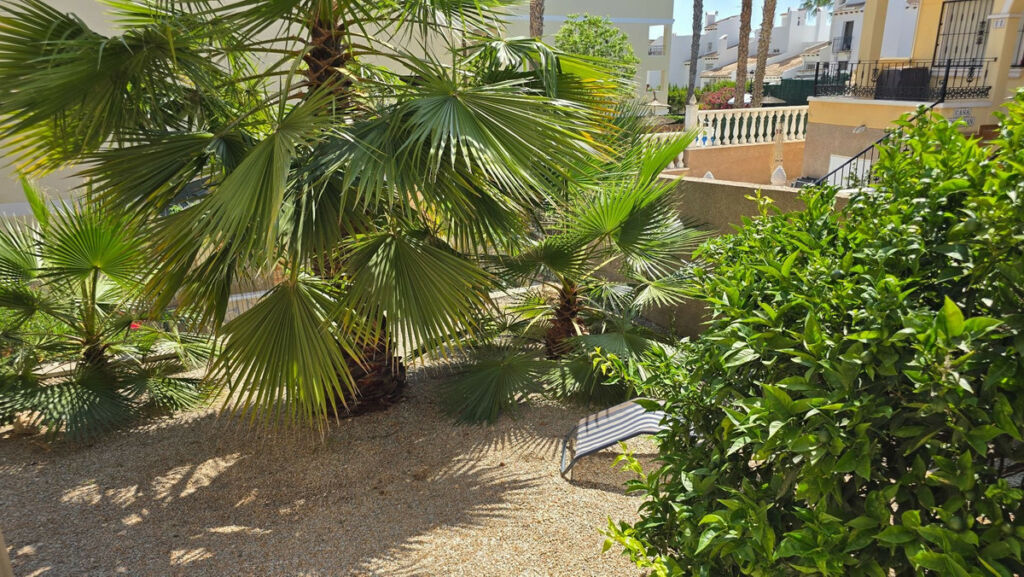 Detached Villa Orihuela Alicante - image 39