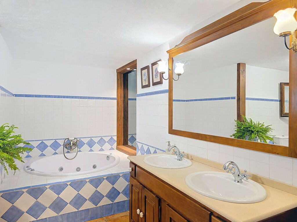 Detached Villa Riogordo Málaga - image 38