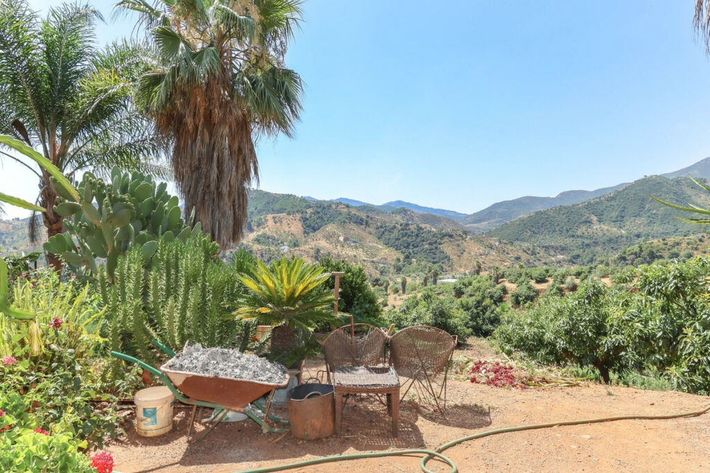 Farm Monda Málaga - image 38