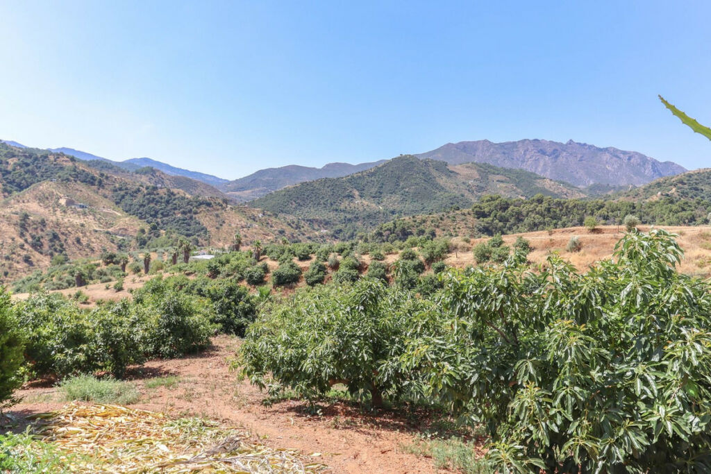 Farm Monda Málaga - image 39
