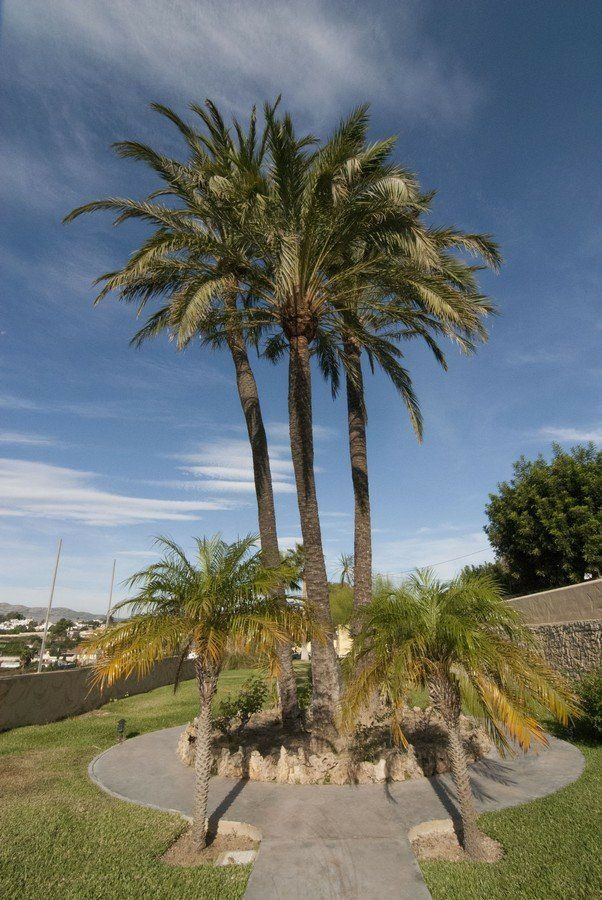 Detached Villa Benissa Alicante - image 39