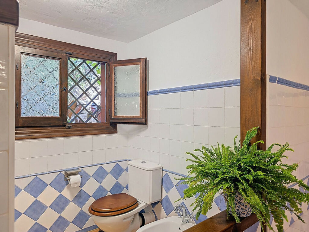 Detached Villa Riogordo Málaga - image 39