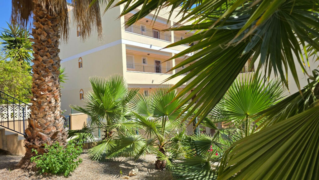 Detached Villa Orihuela Alicante - image 40