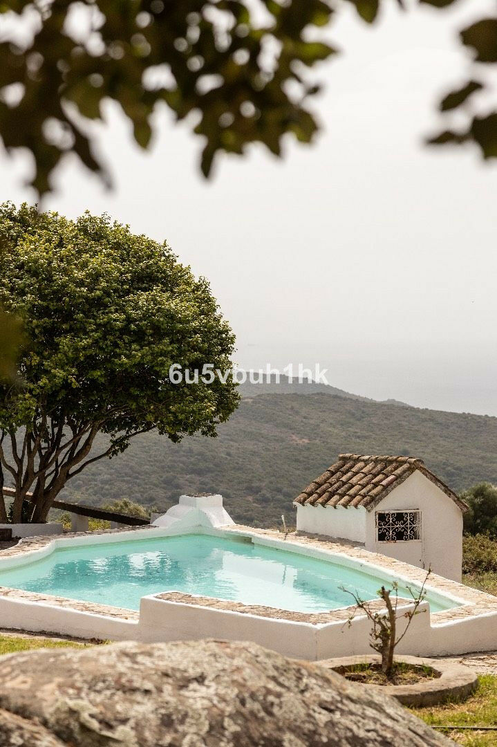 Finca - Cortijo Tarifa Cádiz - image 4