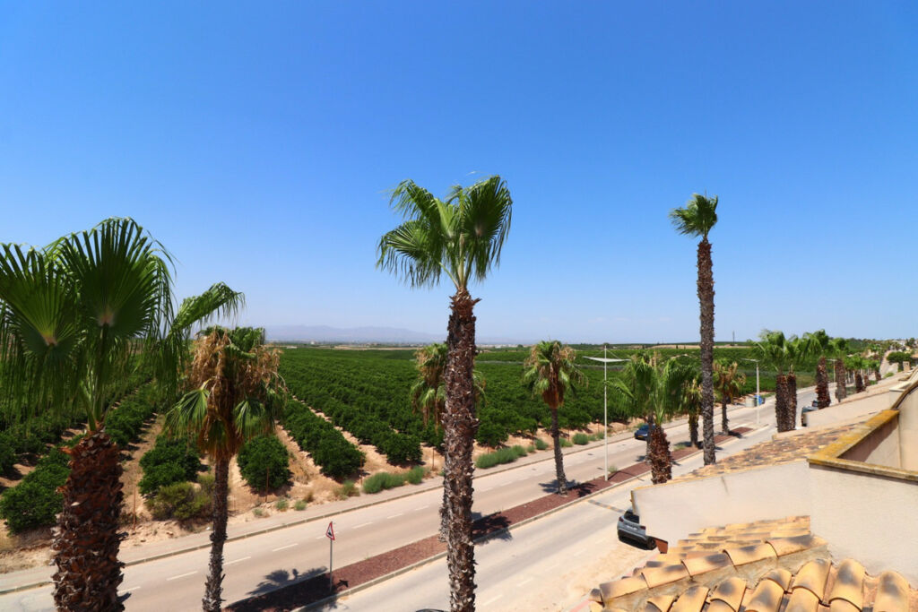 Semi-Detached House Algorfa Alicante - image 4