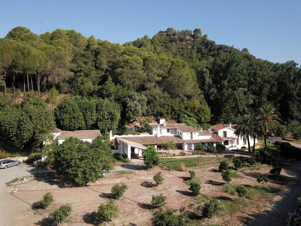 Finca - Cortijo Gaucín Málaga - image 4