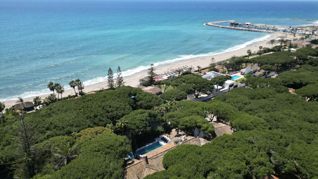 Detached Villa Cabopino Málaga - image 4