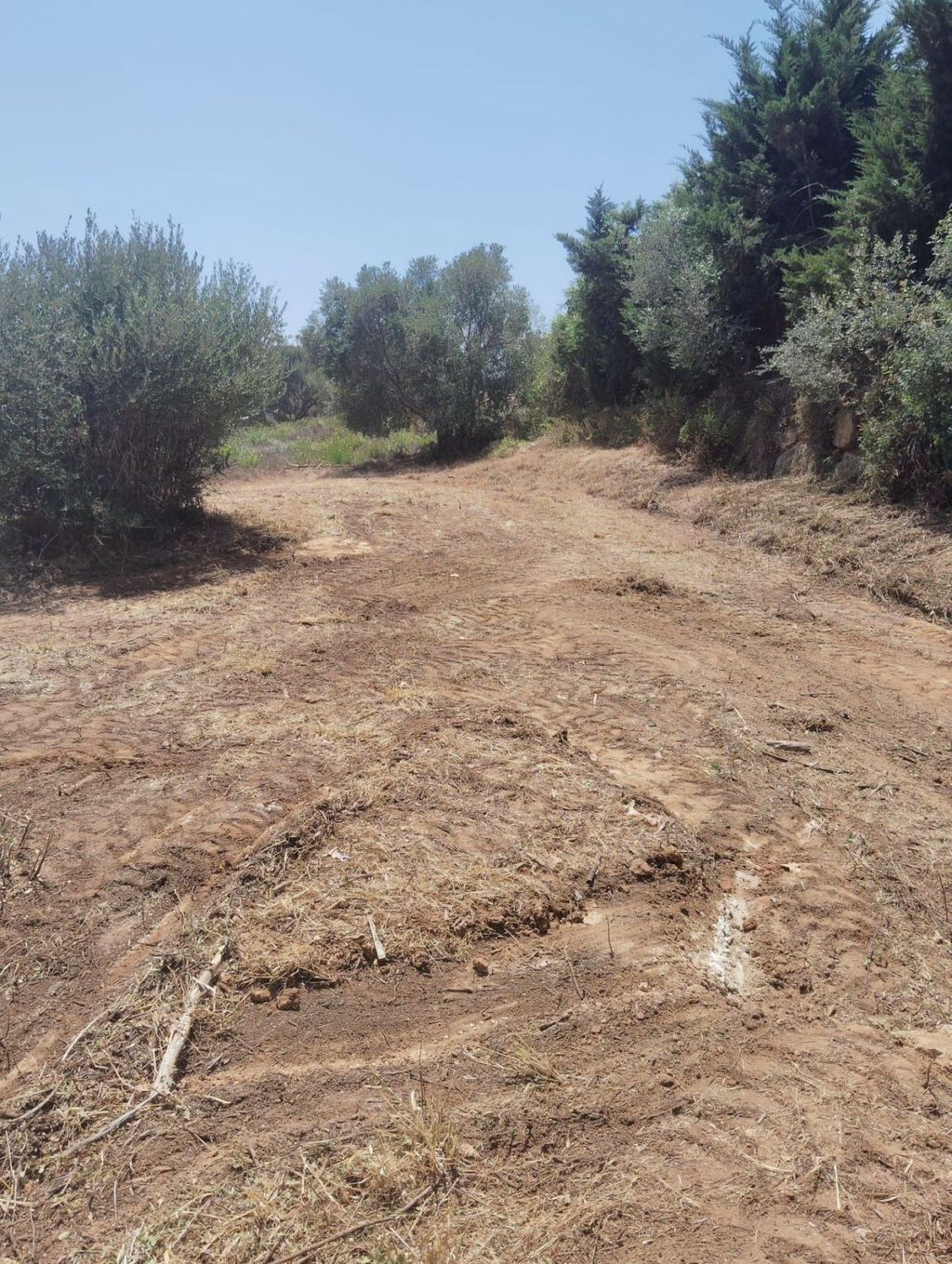Residential Plot Sotogrande Alto Cádiz - image 4