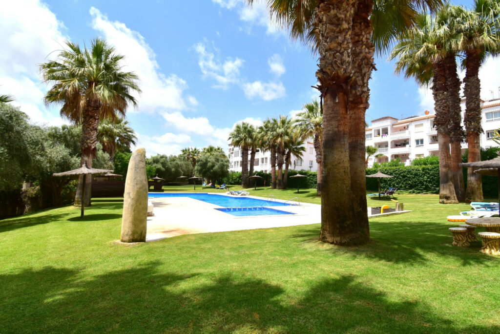 Middle Floor Apartment Villamartin Alicante - image 4