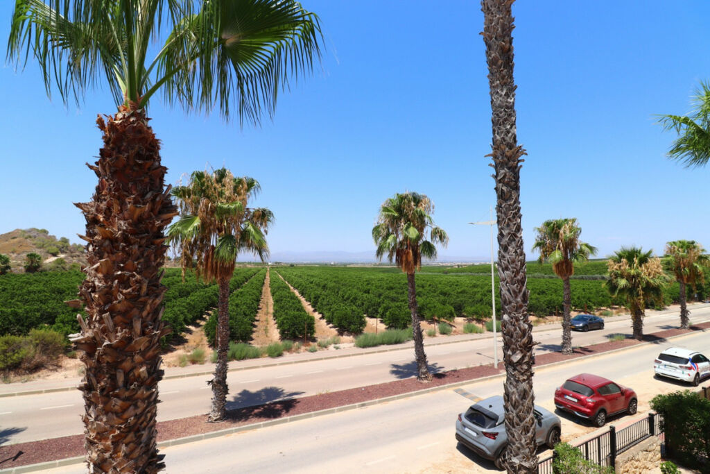 Semi-Detached House Algorfa Alicante - image 4
