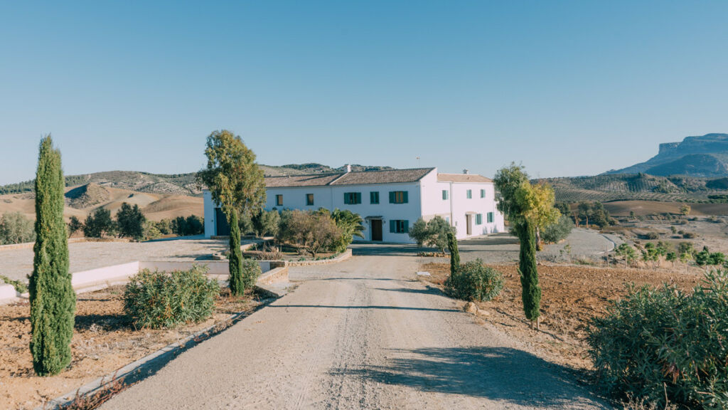 Finca - Cortijo Ardales Málaga - image 4
