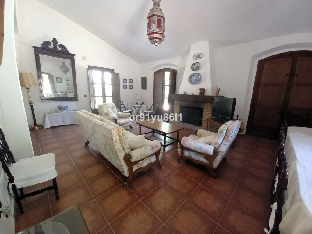 Finca - Cortijo Casares Málaga - image 4