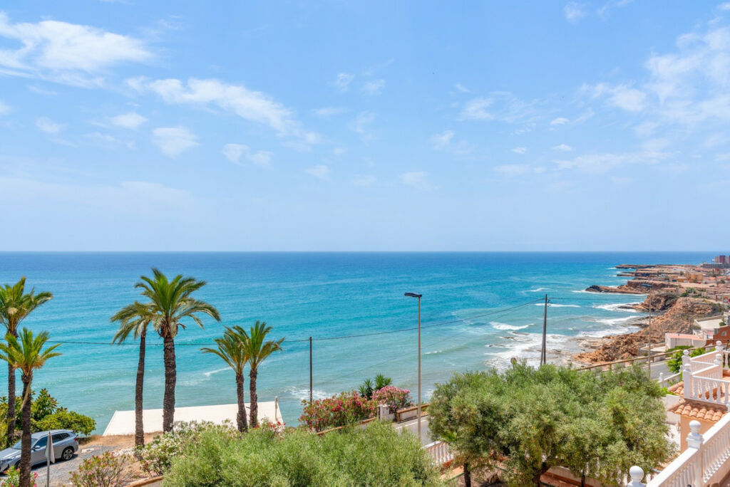 Detached Villa Torrevieja Alicante - image 4