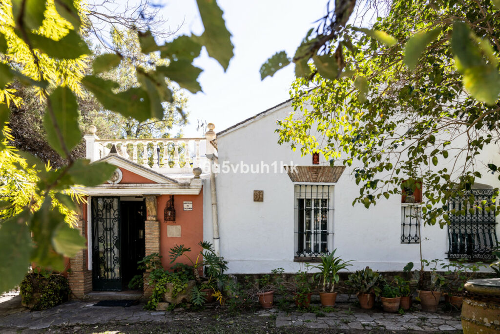 Finca - Cortijo Jimena de la Frontera Cádiz - image 4