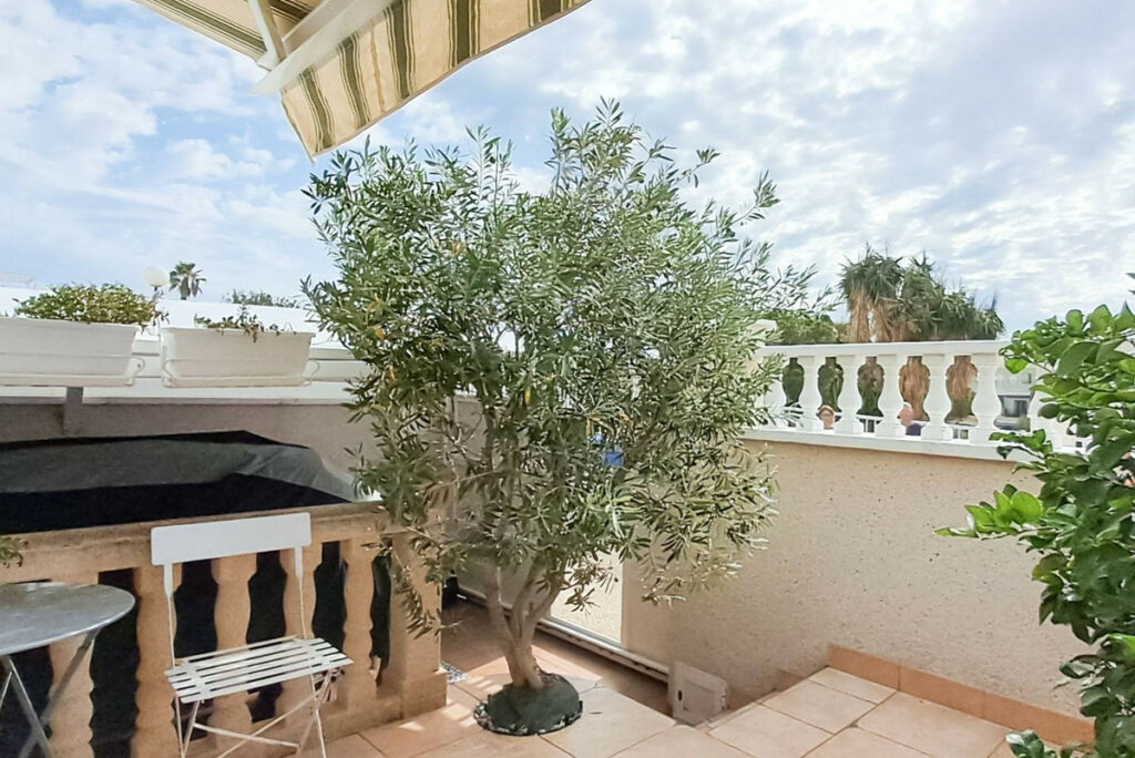 Bungalow Torrevieja Alicante - image 8