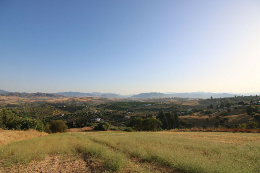 Land Coín Málaga - image 4