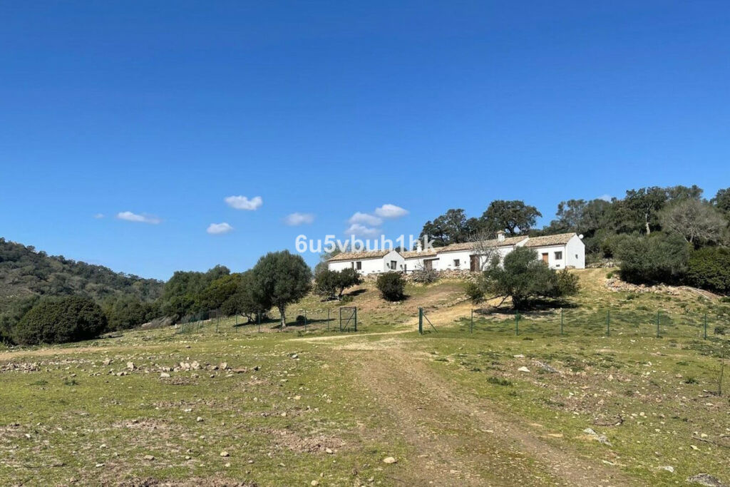 Finca - Cortijo Castellar de la Frontera Cádiz - image 4