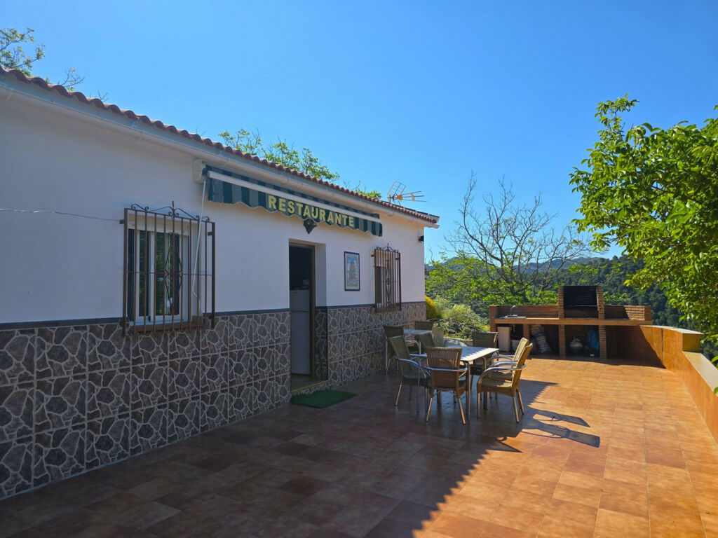 Finca - Cortijo Canillas de Albaida Málaga - image 4