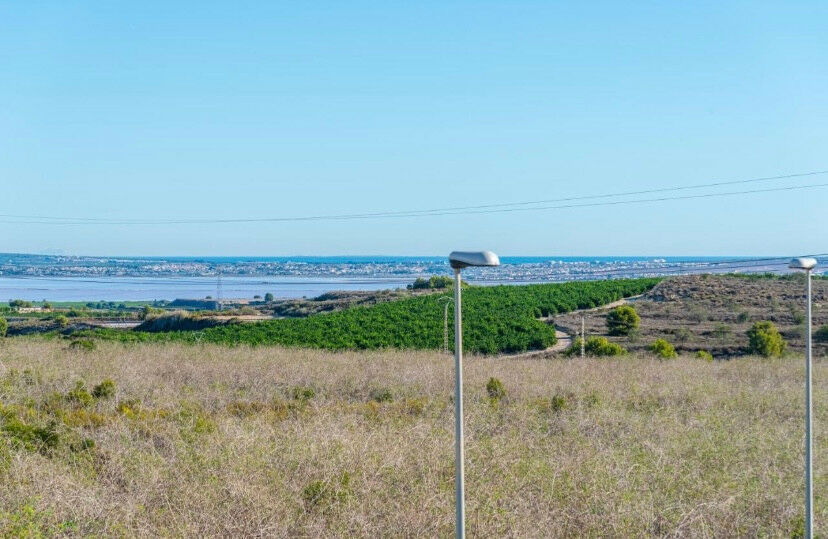 Detached Villa San Miguel de Salinas Alicante - image 40