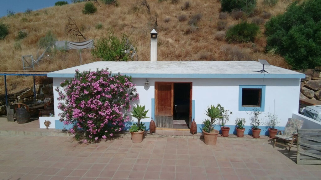 Finca - Cortijo Alora Málaga - image 40